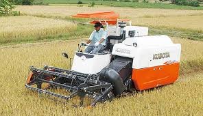 Rice Harvester